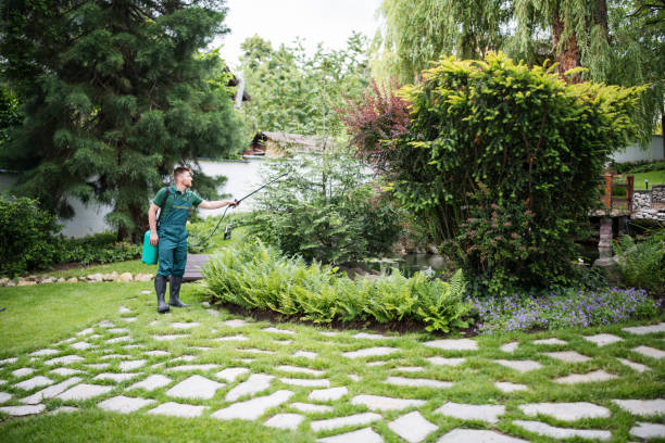 Flea Control Services in Cambridge, MN