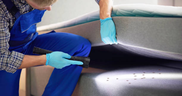 Best Local Pest Control Services  in Cambridge, MN