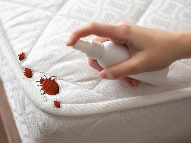 Best Pest Control Near Me  in Cambridge, MN