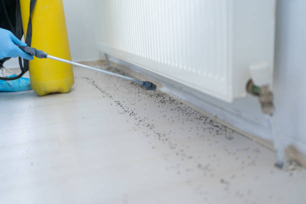 Best Commercial Pest Control Services  in Cambridge, MN