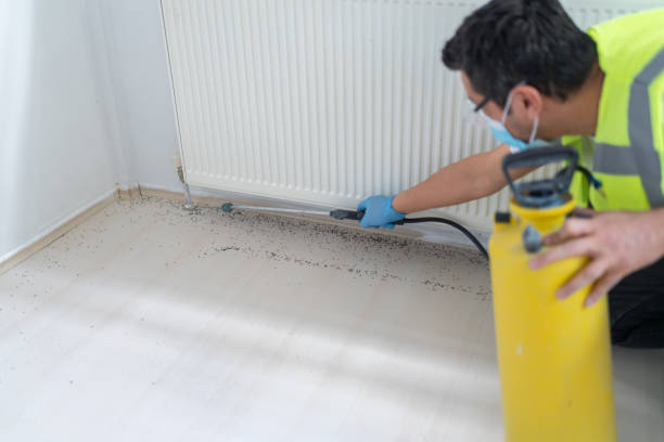Best Emergency Pest Control  in Cambridge, MN