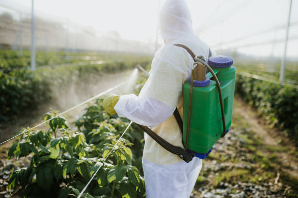 Best Affordable Pest Control Services  in Cambridge, MN